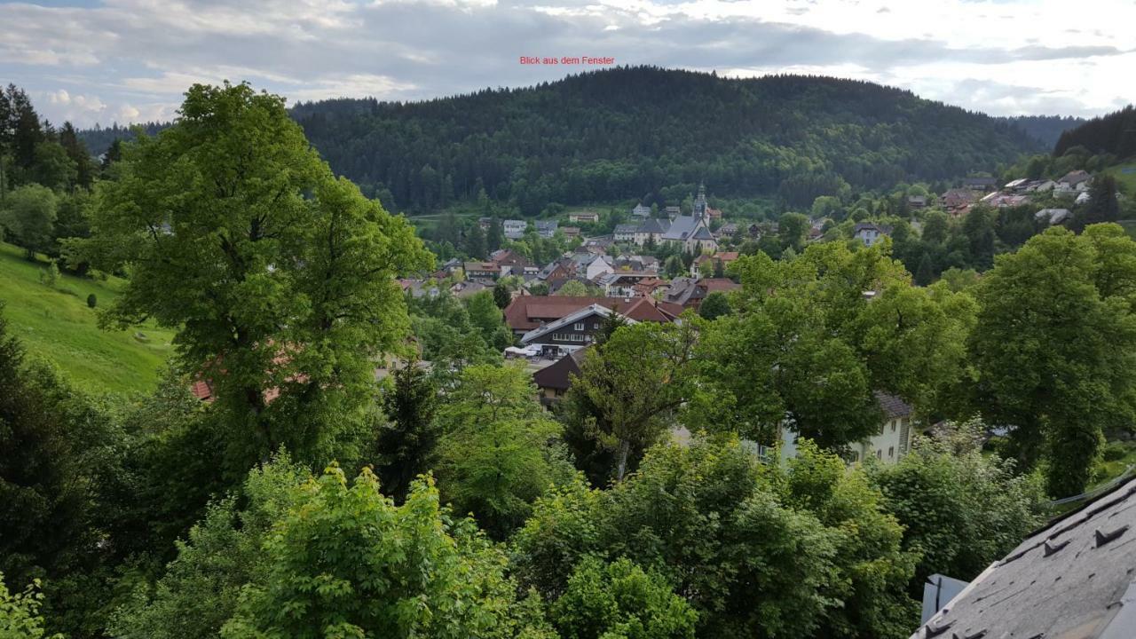 Ferienwohnung Im Schwarzwald Todtmoos Exterior photo